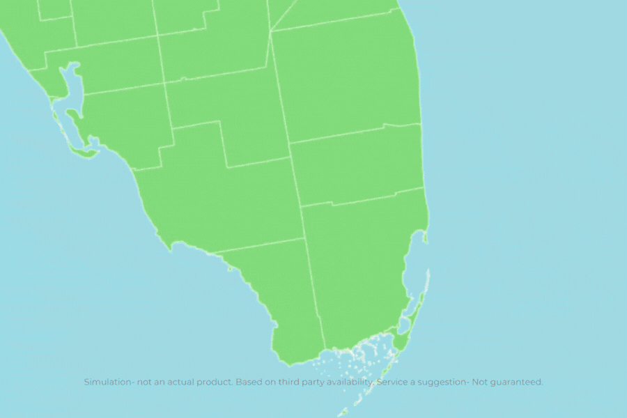 Internet Ads and Animations