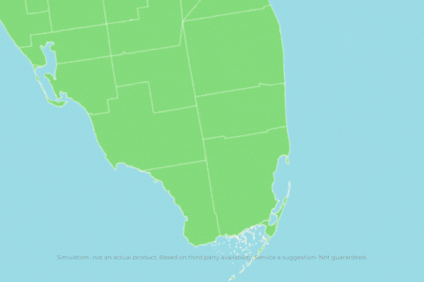 Internet Ads and Animations Full Video (External)