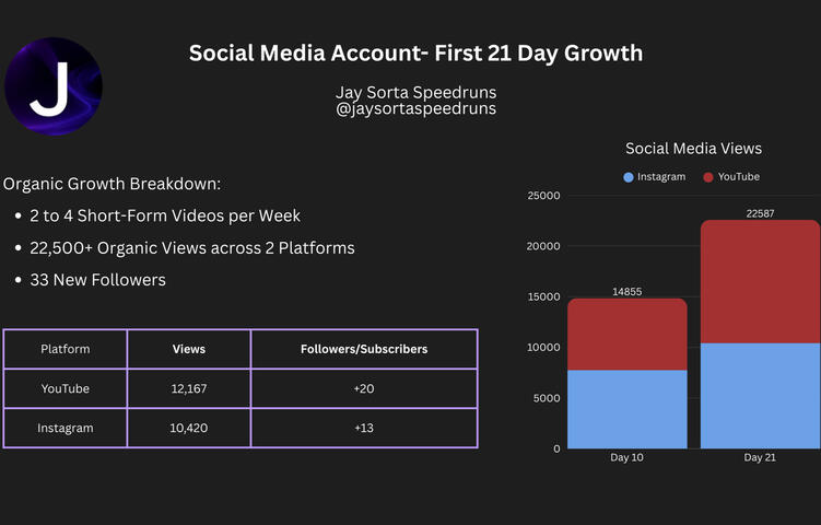 Social Media Account Progress