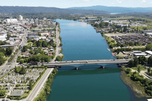 Animated Logos (GIF of Video)